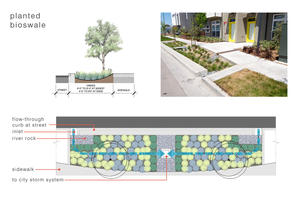 Planted bioswales treat runoff from streets and sidewalks. - Photo Credit: Architect (photo)/PGA Design (diagram)