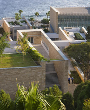 This photograph shows the view across green roof spaces. - Photo Credit: Paul Crosby Studio