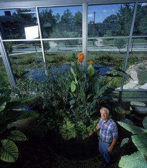 In this photo, biology professor David Benzing stands amidst the plants in the Living Machine. The Living Machine processes all wastewater from the Lewis Center sinks and toilets. - Photo Credit: Robb Williamson