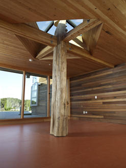 The tree-trunk column in this photograph is a feature of the classroom entry lobby. It was found at the lot of a local tree surgeon. - Photo Credit: Michael David Rose