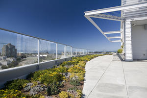 A green roof at Synergy is shown in this photograph. - Photo Credit: Enrico Dagostini