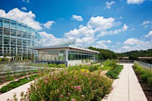 The CSL green roof, a central component of the overall landscape, flourishes with native plants. - Photo Credit: Denmarsh Photography, Inc.