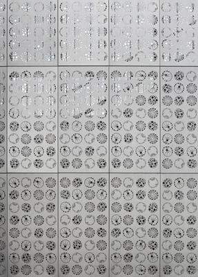 Stainless steel wall panels with magnified cutout images of local photoplankton - Photo Credit: Photo by Bruce Damonte