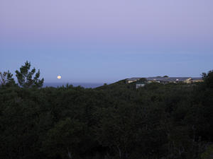This photograph shows how Chartwell's building forms blend into surrounding landscape. - Photo Credit: Michael David Rose