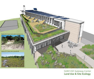 Green roof, rain gardens, solar adaptations - Photo Credit: Architerra