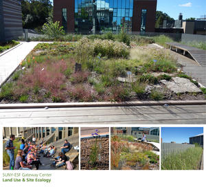 Intensive green roof, supports restoration landscape teaching & research - Photo Credit: SUNY-ESF