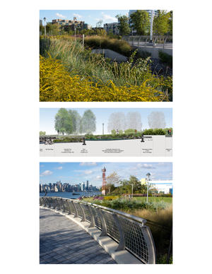 Freshwater wetland, section and photographs - Photo Credit: Section: Starr Whitehouse Landscape Architects and Planner, PLLC © New York City, NYC Parks; Photos: Starr Whitehouse Landscape Architects and Planners PLLC