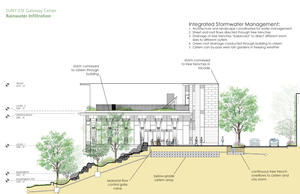 Site section, green roof, rain garden, tree trench - Photo Credit: Architerra