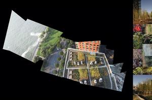 This photographic collage shows the green roof and the landscape garden plan, including the variety of plant materials used in the project. - Photo Credit: Balmori Associates