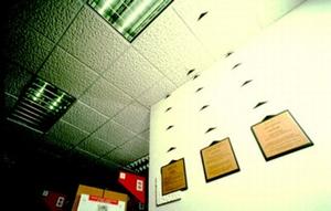 The acoustical ceiling tiles in this photograph meet the State of Washington's indoor air quality specification criteria. Also visible are efficient fluorescent T-8 lamps. - Photo Credit: Ted Walton Photography