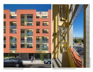 LEFT: Southwest facade with living screen wall; RIGHT: Southwest balconies behind a living screen wall - Photo Credit: Tim Griffith