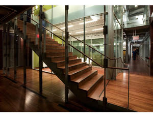 The staircase in this photograph leads to the "Penguin" collaboration room, which sits above the "Seal" collaboration room. IFAW's mission is showcased throughout the entire interior and exterior of the Headquarters. - Photo Credit: © Peter Vanderwarker 2008