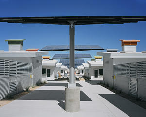 The dog adoption park circulation area is shown in this photo. - Photo Credit: Tom Bonner