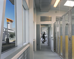 This photo shows the kennel interior. - Photo Credit: Tom Bonner