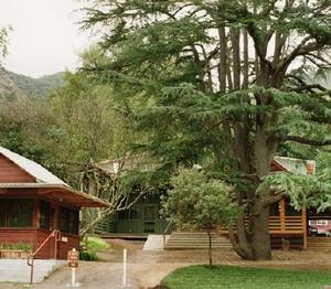 The hostel is shown in this photograph behind the office and the climbing tree. - Photo Credit: Ed Caldwell