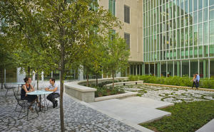 Photo Credit: Will Crocker