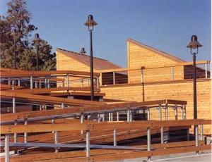 In this photograph, a ramped transition on this sloping site supplants the need for an elevator and provides a structure for trellised plant materials. Monitors provide north-facing light and air from clerestories to classrooms below. - Photo Credit: Milroy & McAleer