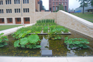 This photograph shows the rainwater harvesting pool. - Photo Credit: The Olin Studio