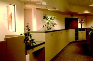 The office space, shown in this photo, makes use of various non-toxic materials, including carpeting, countertops, and paint. - Photo Credit: Platt/Whitelaw Architects--Natalie Fiocre