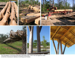 These photographs shows trees felled by Hurricane Rita in 2005, salvaged for use as building materials. - Photo Credit: Lake|Flato Architects