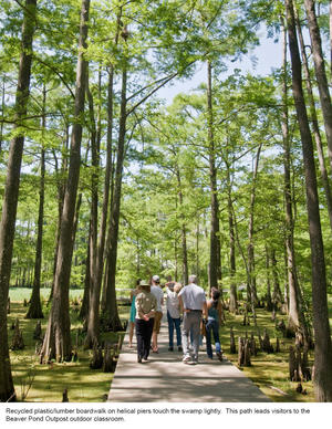 The boardwalk shown in this photograph is made of recycled plastic-wood composite lumber on helical piers. - Photo Credit: Hester + Hardaway Photography