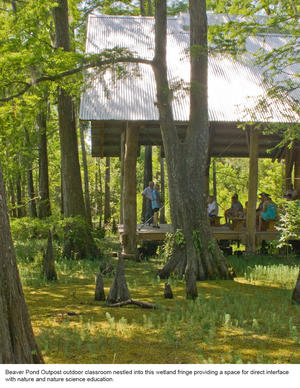 The Beaver Pond Outpost shown in this photograph serves as an outdoor classroom, nestled into a wetland. - Photo Credit: Hester + Hardaway Photography