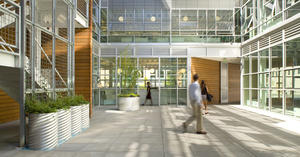 This photograph at ground level shows the entry tunnel that connects the street to the courtyard. - Photo Credit: Lara Swimmer