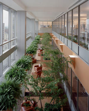 The winter garden shown in this photograph brings a connection to nature inside the building. - Photo Credit: Peter Aaron - Esto