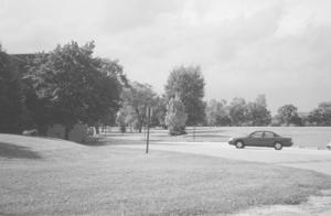 The constructed wetland was built on the site shown in this photo. - Photo Credit: Susan Maxman & Partners