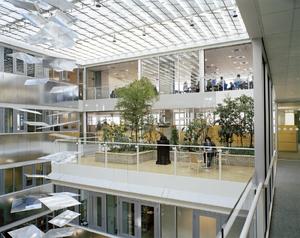 Genzyme's 18 indoor gardens, including the one shown in this photo, and accessible outdoor patios enhance occupants’ connection with the natural environment. - Photo Credit: Anton Grassl