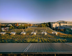 This photo of the green roof shows the photovoltaic panels in the foreground. - Photo Credit: Nic Lehoux