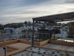 The roof garden, shown in this photo, is watered with collected rainwater; landscaping on the ground is watered with graywater. - Photo Credit: Amy Sims