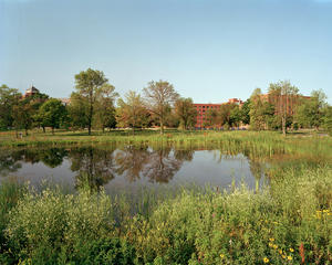 The wetlands this photo shows now grace the Motherhouse site. - Photo Credit: Barry Halkin Photography